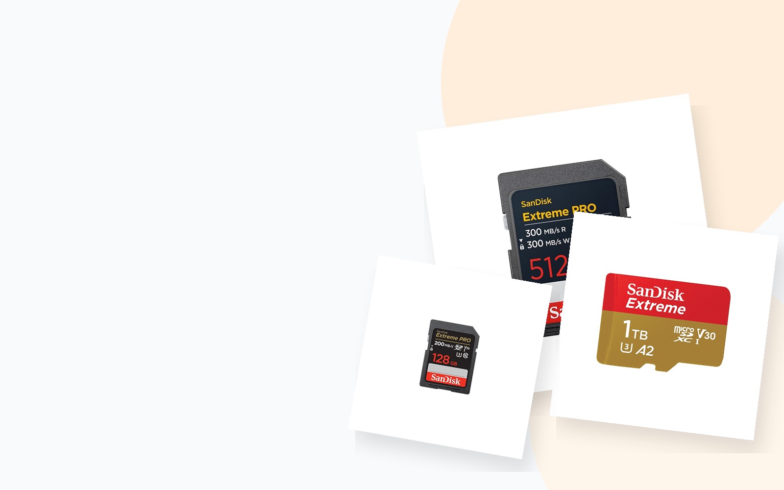 SanDisk SD and microSD memory cards